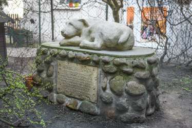 „Pomnik Przyjaciół” upamiętnia psich mieszkańców rodzinnej kamienicy Kasprowiczów od 1904 roku. Fot. Ł. Gdak